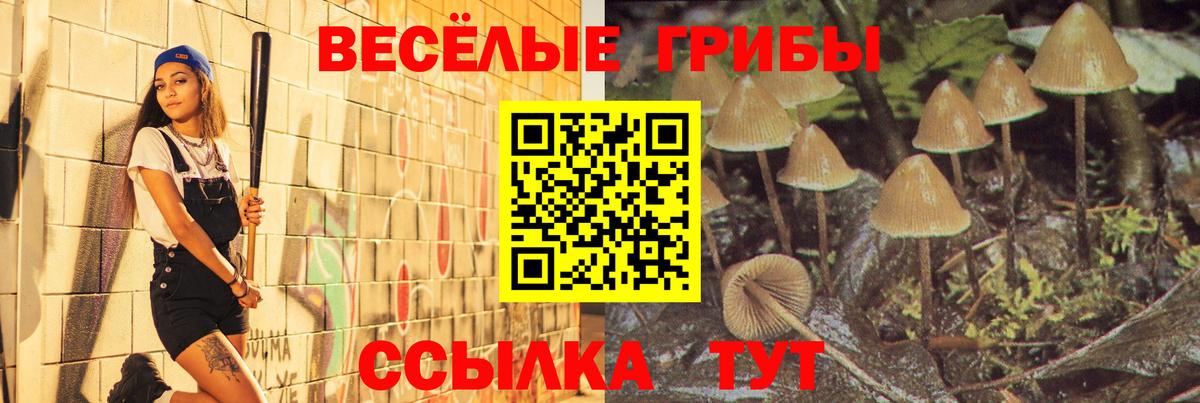 где купить наркотик  Вход с VPN  Железноводск  Псилоцибиновые грибы мухоморы 